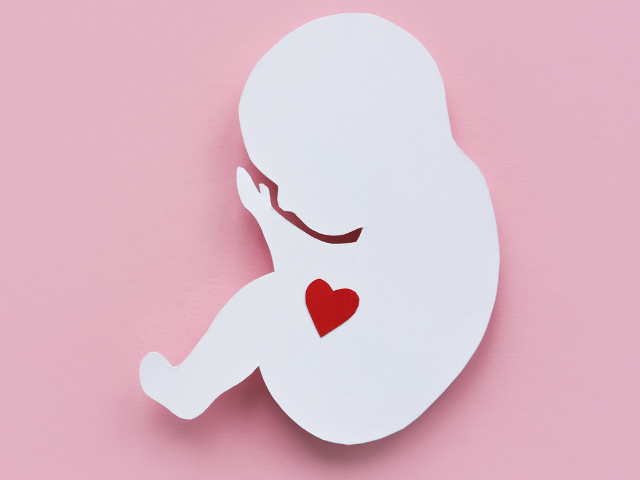 IVF